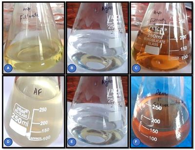 Fungal-mediated synthesis of silver nanoparticles: a novel strategy for plant disease management